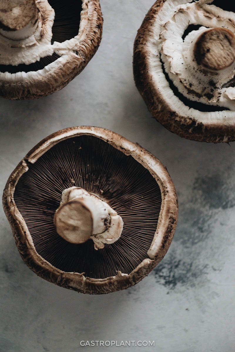 Raw portobello mushroom close-up