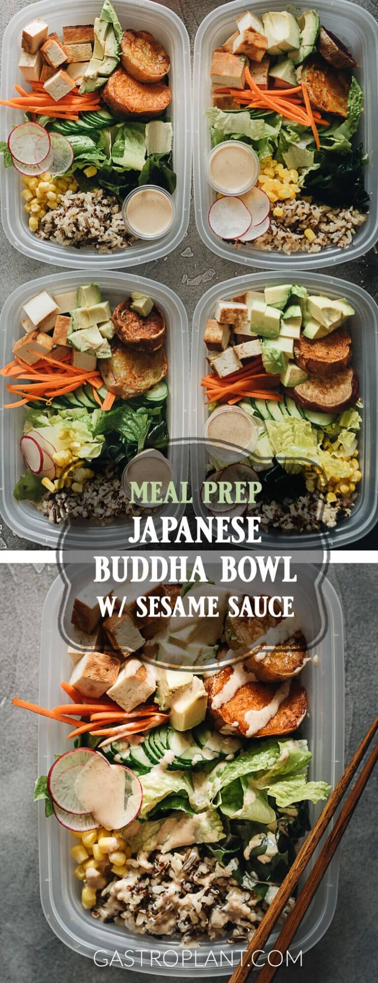 Japanese Buddha Bowl Meal Prep Gastroplant