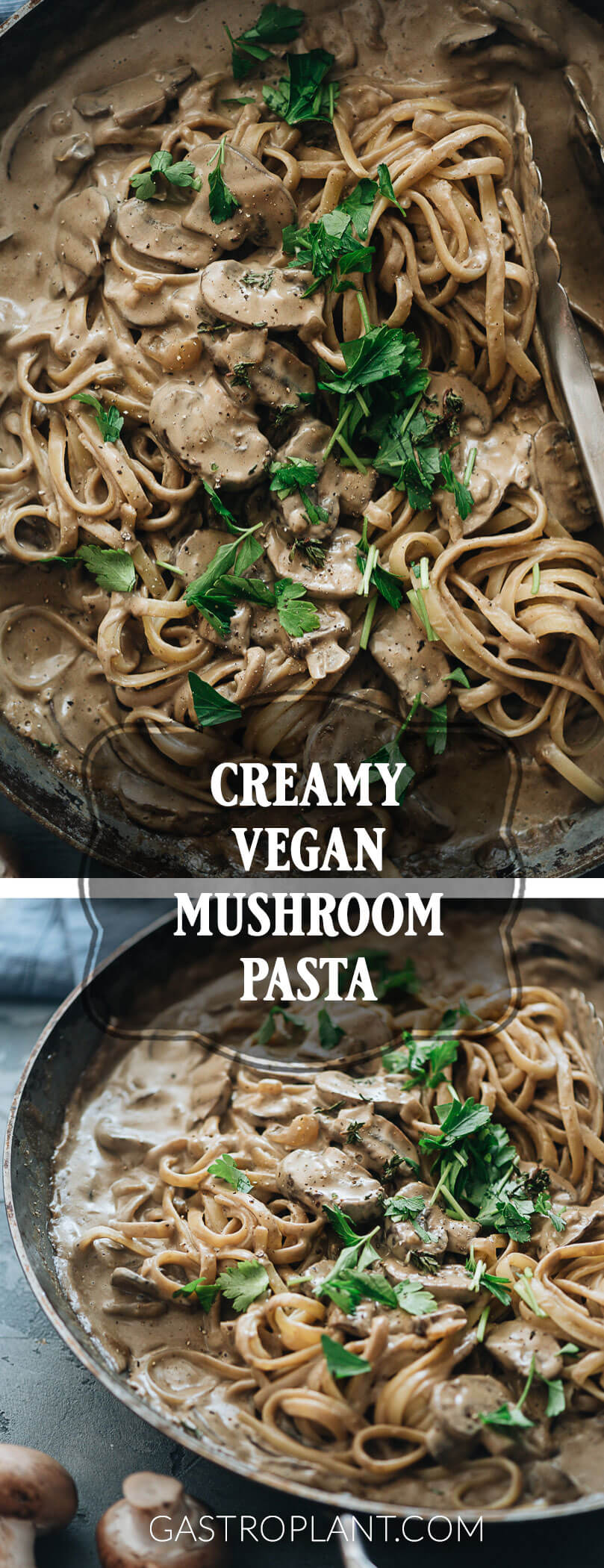 Creamy vegan mushroom pasta collage