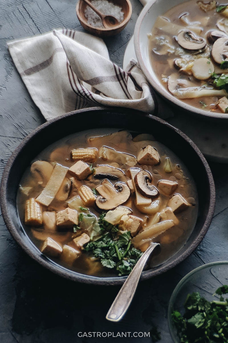 Fresh hot vegan hot and sour soup close-up