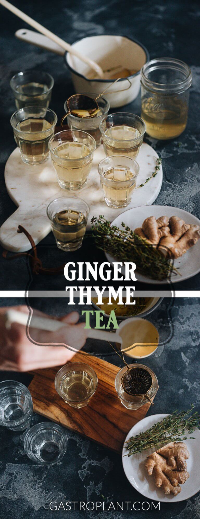 Ginger Thyme Tea Gastroplant