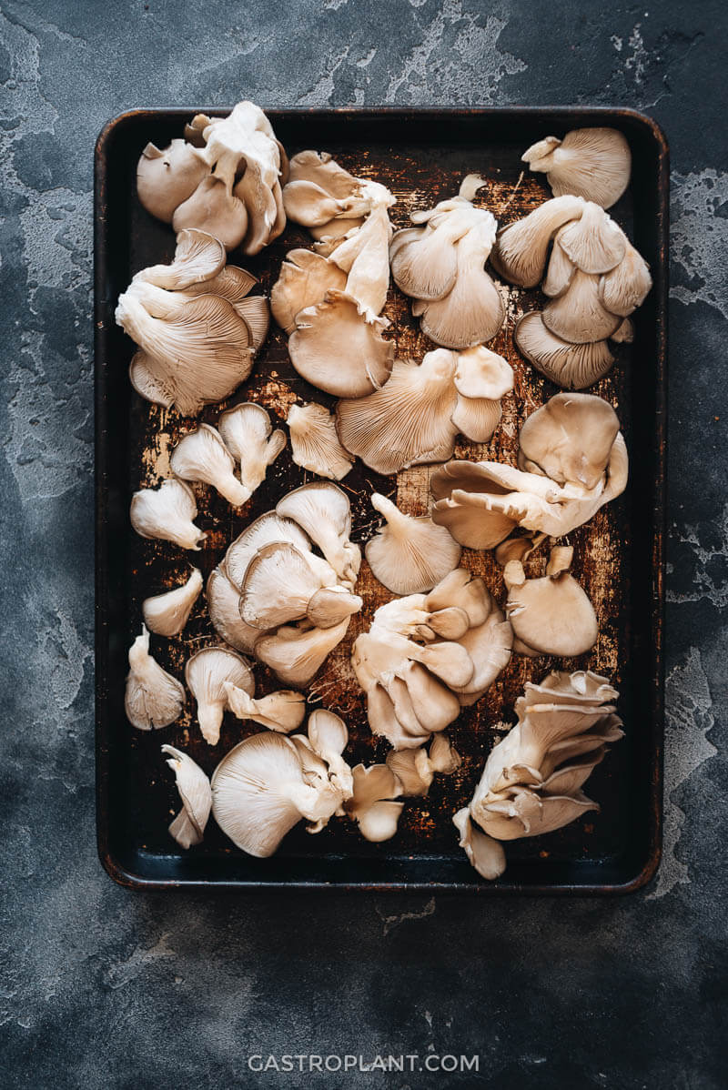 Raw oyster mushrooms on a baking tray