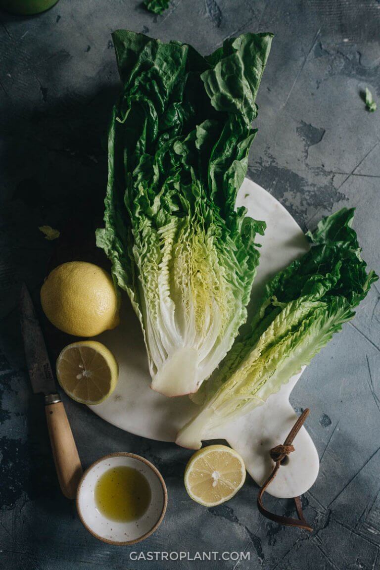 3Ingredient Lettuce Smoothie Gastroplant