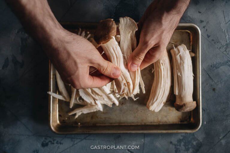 BBQ King Oyster Mushrooms Gastroplant