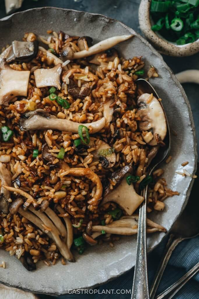 A bowl with lots of rice and mushrooms