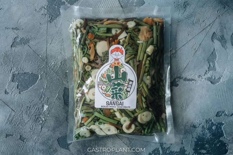 Vegan Soba Noodle Soup (Sansai Soba) Gastroplant