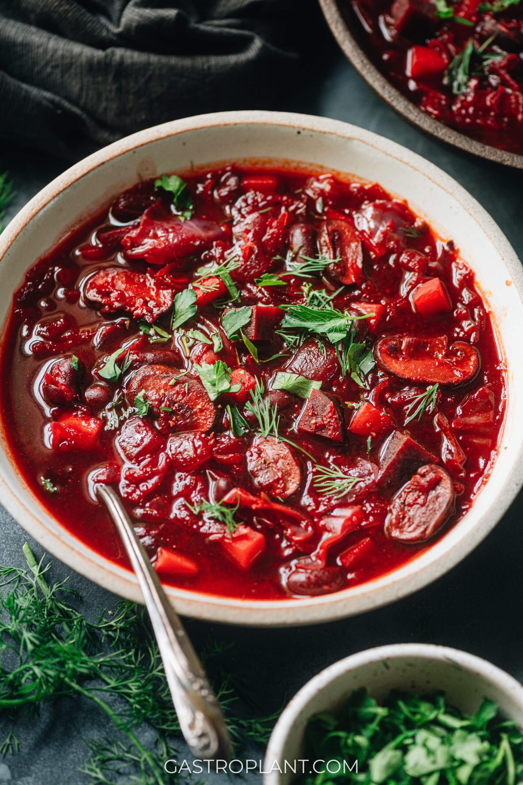 A bowl of bright red vegan borscht soup with herbs and spices and vegetables