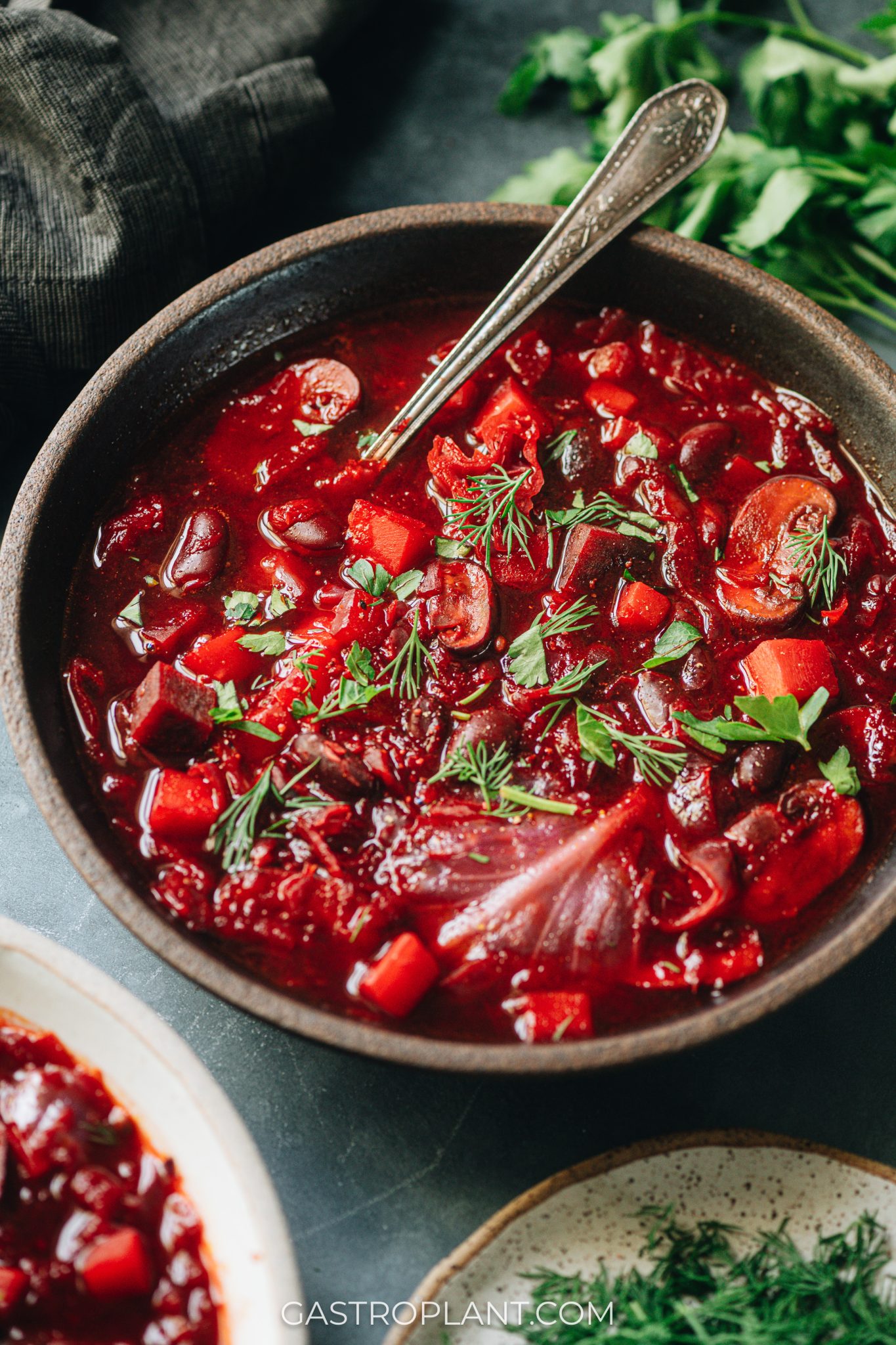 Bold Vegan Borscht - Gastroplant