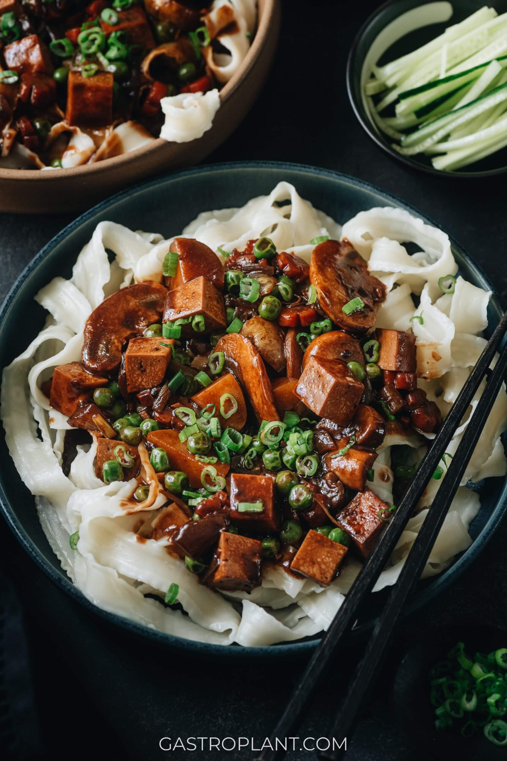 A bowl of thick hand-cut noodles with umami Korean black bean sauce, mushroom, and tofu